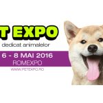 Creativitatea prinde radacini in competitia Spring SuperBlog 2016