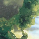 B.U. lanseaza antiperspirantul in action Active Release