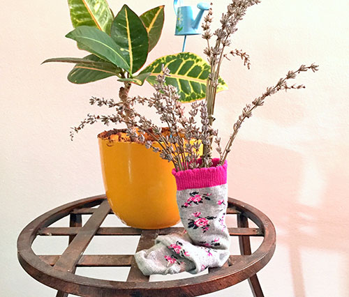 Soseta naturista Soseta naturista