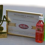 Vara Activia: o noua combinatie unica de fructe si bilete la cele mai dorite concerte