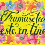 Salvequick, primul brand de plasturi ambalati individual din Europa, acum si in Romania