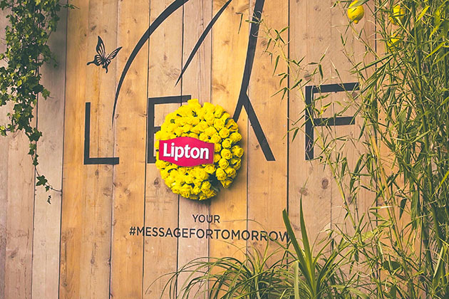 Gasca Lipton Ice Tea a dat #verdelamuzica la Tomorrowland Gasca Lipton Ice Tea a dat #verdelamuzica la Tomorrowland