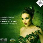 Vegeta – o istorie scrisa cu arome perfecte si bucate satioase