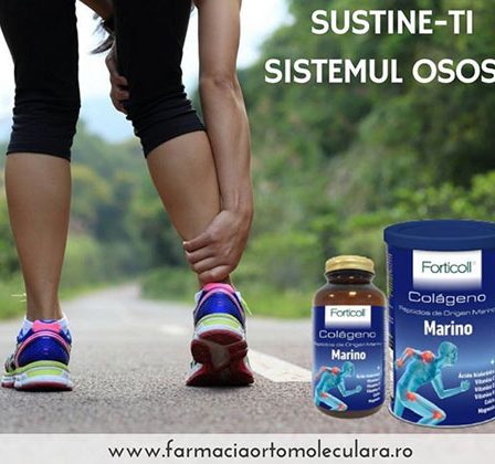 6 metode de a sustine sistemul osos in timpul efortului!