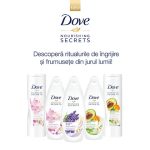 Energia culorilor vibrante din gamele C-THRU