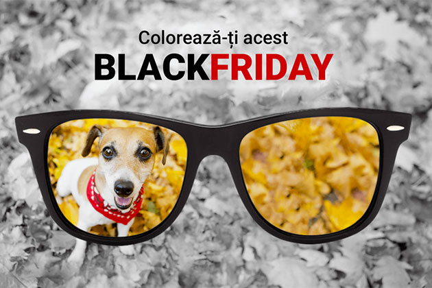 Lentiamo lanseaza campania de Black Friday cu reduceri de pana la 50%