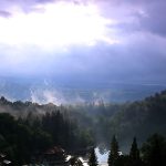 Un ten mai tanar cu filtrat de alge