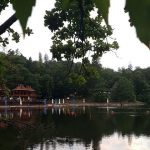 Tine umezeala departe de parul tau. 3 trucuri pentru coafuri rezistente de vara