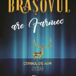 FINO aduce inovatia in bucatarie cu noua gama de produse reutilizabile din teflon