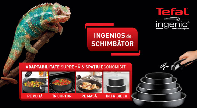 Tefal Ingenio - Ingenios de schimbator