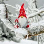 Afaceri online pe care sa nu le pui in aplicare niciodata