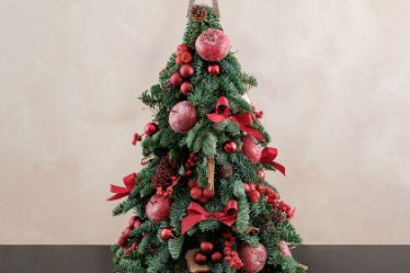 Sampanie si scortisoara - condimentele inedite din noua colectie Floria.ro de Craciun