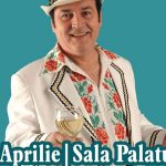 Cele 3 tipuri de creozot si impactul lor asupra hornului tau