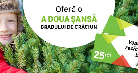 Peste 38.000 brazi naturali s-au intors in magazinele LEROY MERLIN, pentru reciclare, ca rezultat al campaniei "Ofera a doua sansa bradului de Craciun"