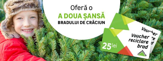 Peste 38.000 brazi naturali s-au intors in magazinele LEROY MERLIN, pentru reciclare, ca rezultat al campaniei "Ofera a doua sansa bradului de Craciun"