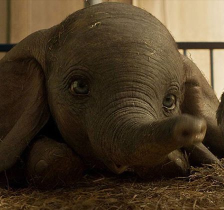 "Dumbo", un film fantastic pentru toate varstele despre familie si dragoste