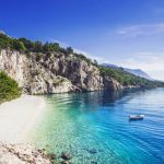 Uleiul pentru salata presat la rece – un D’Artagnan al bucatariei