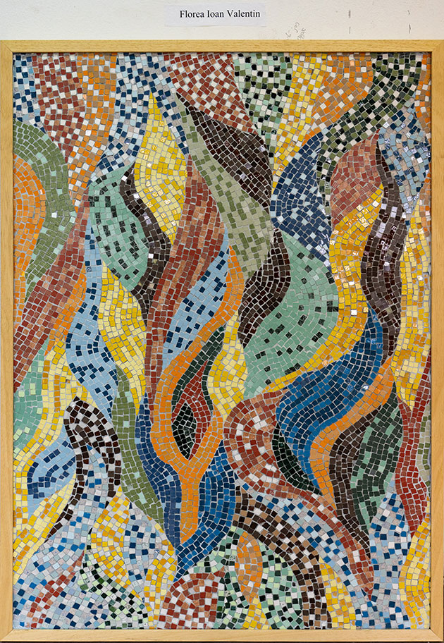 Competitia Culorilor Mapei - Florea Ioan Valentin