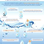 Eau de Sabon – Parfumuri fresh, inspirate de natura