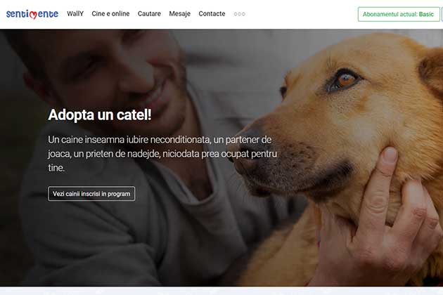10 patrupede simpatice si-au facut cont si isi cauta perechea pe Sentimente.ro