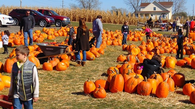 Halloween in familie: activitati si distractii pentru tine si cei dragi!