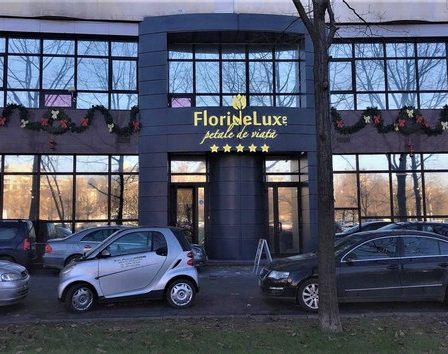 FlorideLux.ro a deschis cea mai mare florarie din Romania, in urma unei investitii de 90.000 euro