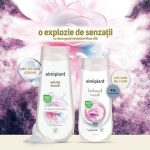 Sterilizarea cu laser da tonul sigurantei maxime