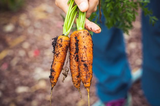 8 din 10 romani din mediul urban prefera sa cumpere produse proaspete de origine locala