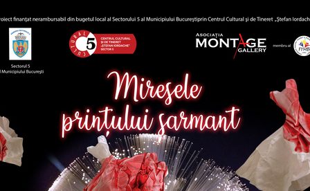 "Miresele printului sarmant" - un performing de costume in Parcul Sebastian din Sectorul 5
