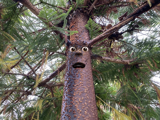 Copiii le cer politicienilor sa demonstreze ca ii asculta, cu ocazia Zilei Internationale a Drepturilor Copilului