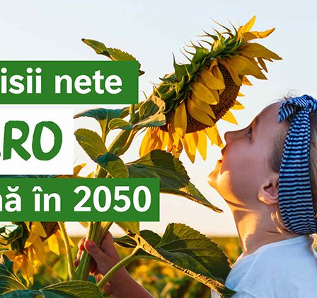Nestlé isi intensifica eforturile de combatere a schimbarilor climatice la nivel global, mizand pe agricultura regenerativa si energie verde