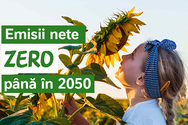 Nestlé isi intensifica eforturile de combatere a schimbarilor climatice la nivel global, mizand pe agricultura regenerativa si energie verde