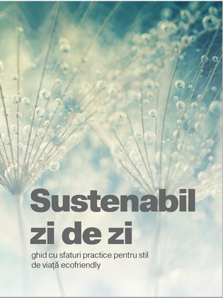Sustenabil zi de zi - rezolutia pentru 2021 propusa de Environ, Eco Synergy si Stratos
