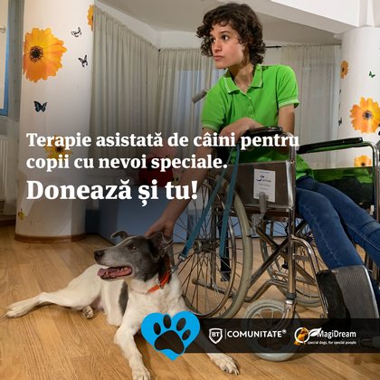 Terapie asistata de caini pentru copiii cu nevoi speciale. Doneaza si tu!