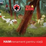 eMAG decide sa treaca permanent la modul de lucru hibrid, in urma studiilor desfasurate in ultimul an