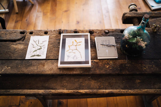 Start pentru Scolile de Vara: arta botanica, design interior, design floral si peisagistica