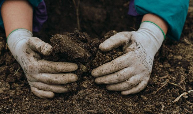 METLIFE, inc., din care face parte METROPOLITAN LIFE, investeste 500 milioane dolari, in proiecte cu impact social si de protectie a mediului, pana in 2030