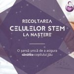 Teatrul Muzical Ambasadorii prezinta doua dintre cele mai de succes spectacole din repertoriu, la Promenada Operei