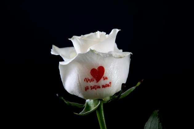 FlorideLux.ro lanseaza primul serviciu din Romania de imprimare a mesajelor personalizate pe flori