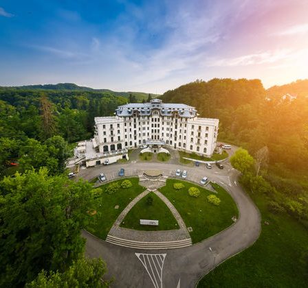 Tine gripa, raceala si pandemia la distanta!