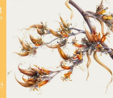 Artista irlandeza Mary Dillon va preda la Scoala de Arta si Design Botanic Cembra din Brasov