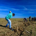 McDonald’s anunta deschiderea celui de-al doilea restaurant din Braila, in urma unei investitii de peste 3 milioane de lei