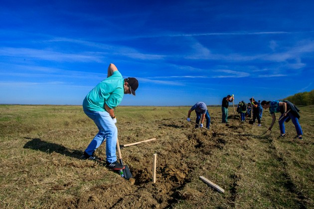Peste 220 de gospodari romani practica agricultura regenerativa la Zimnicea, in cadrul programului socio-economic "O sansa pentru familia ta" sustinut de Danone si partenerii sai