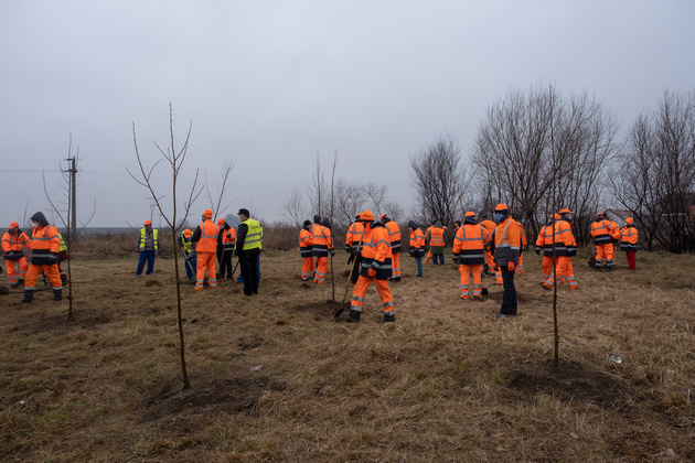 Wienerberger continua actiunile de plantare pentru un viitor curat