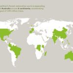 Mastercard Romania aduce mai aproape de romani evenimente sportive renumite si sustine performanta sportivilor de top si a Clubului Sportiv Universitar ASE Bucuresti