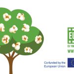 eMAG simplifica si mai mult livrarea la easybox. Clientii vor plati aceeasi taxa pentru orice comanda de la eMAG sau de la magazinele partenere