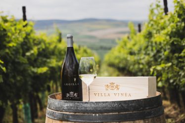 Crama Villa Vinèa a castigat patru medalii de aur si doua de argint la IWCB Vinarium 2022