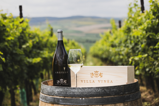 Crama Villa Vinèa a castigat patru medalii de aur si doua de argint la IWCB Vinarium 2022