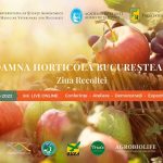 Gradina cu Artisti 35, intre 7 – 9 octombrie, in Parcul National din Bucuresti