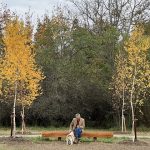 Vestra raporteaza la finalul T3 o cifra de afaceri de peste 23 milioane euro, inregistrand o crestere cu 60% fata de aceeasi perioada a anului trecut